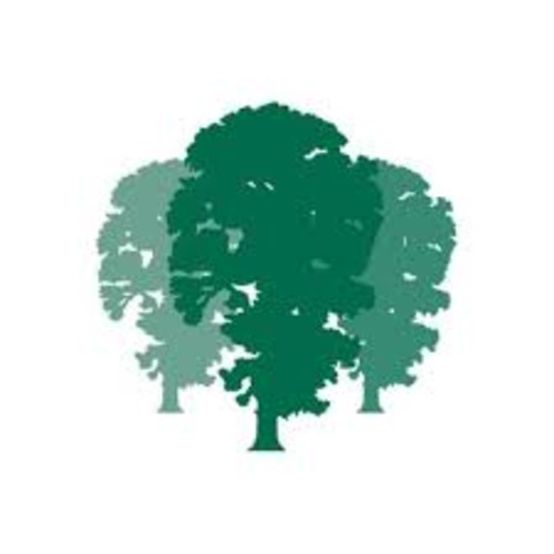 The Elms, Junior School to Trent College